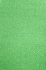 Fototapeta na wymiar vertical macro natural green paper texture pattern