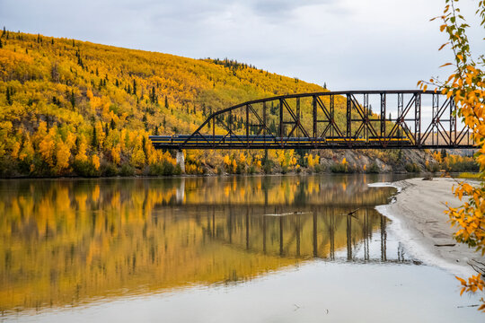 Alaska Railroad passenger train crossing the Mears Memorial Bridge over the Tanana River with brilliant fall colours reflected in the river near Nenana, Alaska; Alaska, United States of America