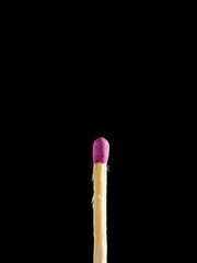 Whole wood matchstick isolated on black background