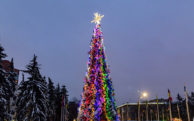 Bright and elegant Christmas tree in the evening park