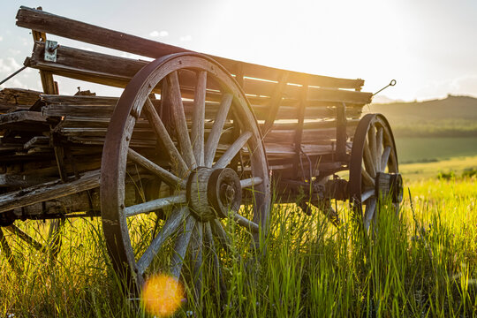 Old wooden wagon sitting in a field backlit by the sunlight; Waterton Lakes National Park Area, Alberta, Canada