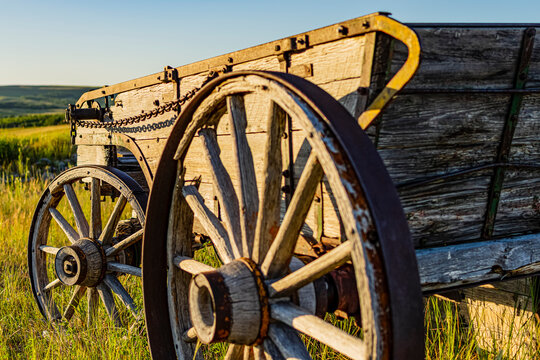 Sunlight reflected on an old wooden wagon sitting in a field; Waterton Lakes National Park Area, Alberta, Canada