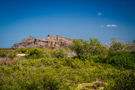 Cerro Brujo Desde El Bosque En Isla San Cristobal