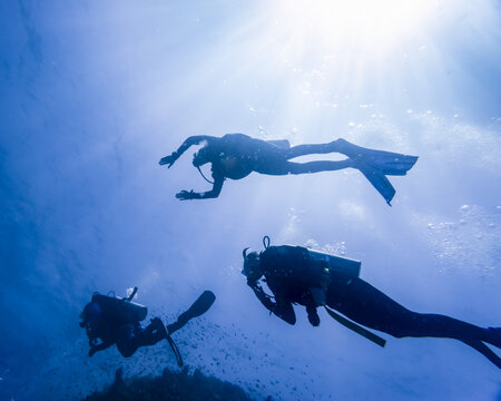 View upwards towards divers on the surface of the water with sunlight glowing bright through the water; Australia