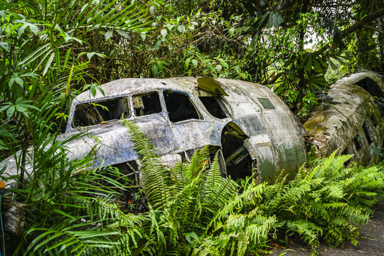 Old site of an airplane crash in a wooded area; Australia