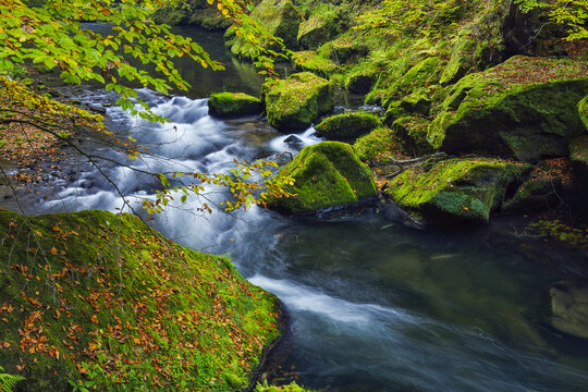 Kamenice River cascading through moss-covered rocks and foliage; Usti nad Labem Region, Czech Republic