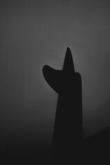 silhouette of a surfboard