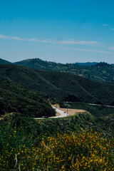 view from the mountain of malibu, CA