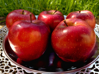 A beautiful image of red apples on a silver round tray and in the background the green lawn on a beautiful sunny day picnic in the park.