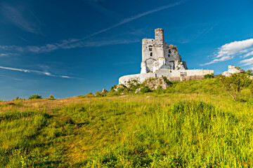 ruiny zamku w Mirowie