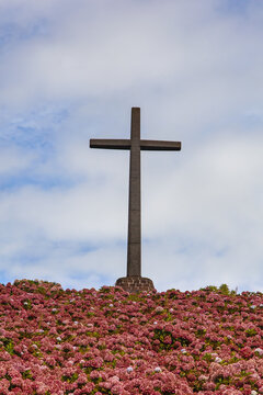 Cross and blossoming flowers on a hillside at Hermitage of Nossa Senhora da Paz; Soa Miguel, Azores, Portugal