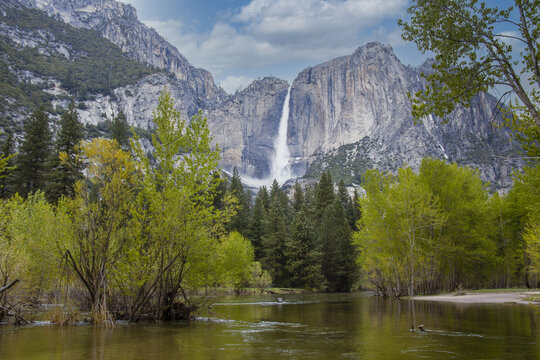 Yosemite Falls In Yosemite National Park; California, United States Of America