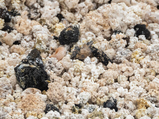 Detail of calcareous formation and volcanic rock