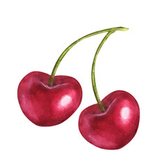 Two cherries. Hand drawn botanical watercolor illustration. Isolated on white background. For labels, menus, or packaging design