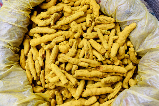 Turmeric rhizomes on sale in the spice souk of Udaipur, Rajasthan; Gwalior, Madhya Pradesh, India