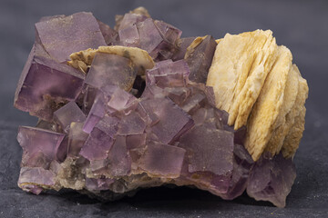 violet fluorite , mineral specimen, stone rock, geology cubic crystals