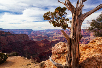 Moran Point at the Grand Canyon; Arizona, United States of America