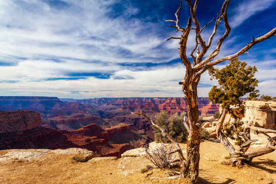 Moran Point at the Grand Canyon; Arizona, United States of America