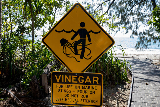 Jellyfish warning sign on the Coral Sea coast of the Daintree Rainforest, Queensland, Eastern Kuku Yalani, Australia; Cape Tribulation, Queensland, Australia