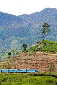 The famous Blue Train, passing through countryside and the Tea Estates in Hill Country; Nanu Oya, Hill Country, Central Province, Sri Lanka