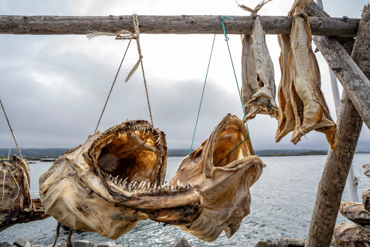 Stockfish – Northern Fish Codfish