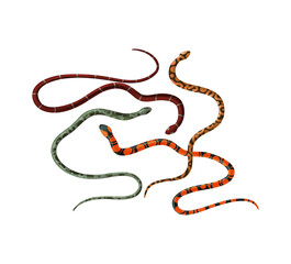 Natural Disaster Snakes Composition