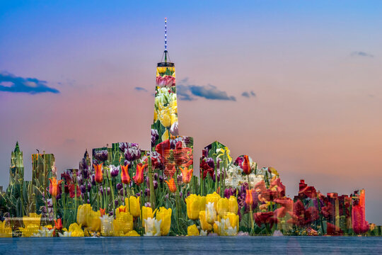 World Trade Center and Lower Manhattan at sunset, image overlaid with blossoming tulips; New York City, New York, United States of America