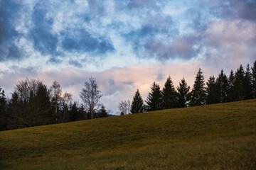 Abendhimmel über dem Waldrand
