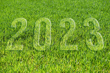 illustration 2023 Happy New Year Ecology concept