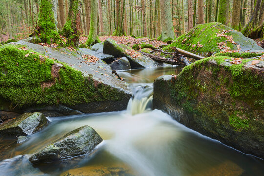 A stream flowing through the forest at Hollental Nature Reserve;  Bavaria, Germany