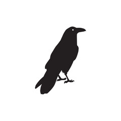 Crow silhouette vector icon.