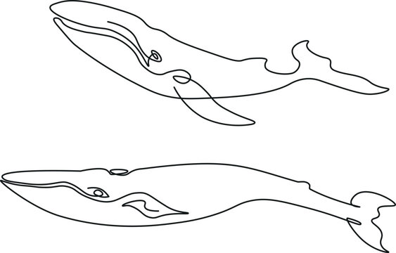 Two whales made in the one continuous line art technique. Minimalistic black and white image