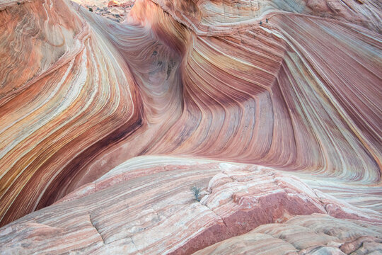 The Wave sandstone rock formation, located in Coyote Buttes North, Paria Canyon, Vermillion Cliffs Wilderness.