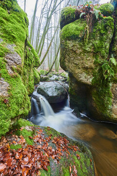 A stream flowing through the forest at Nature Reserve Holle, Bavarian Forest; Bavaria, Germany