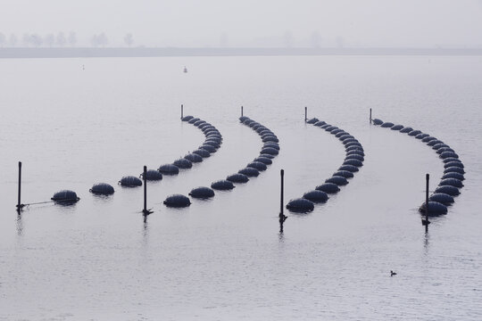 Rows of buoys on lines for mussel farming culture in lake; Kats, Zeeland, Netherlands