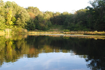 lake in the park