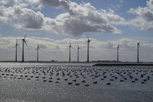 Skyline with wind turbines and sea arm with mussels on the shore for mussel culture, near Bruinisse, Netherlands; Zeeland, Netherlands