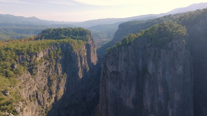 Aerial drone view. Trees grow on high gray rocks. Mountain landscape. Extreme. Sunny day. Blue sky.