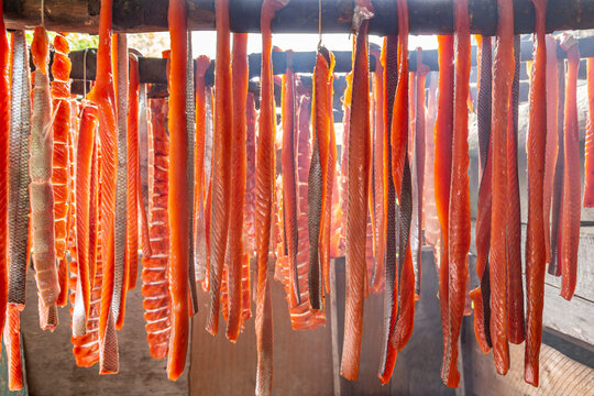 Filleted salmon strips hanging on a drying rack in a smoke house at a remote fish camp in summer, Kuskokwim River; Kalskag, Southwest Alaska, Alaska, United States of America