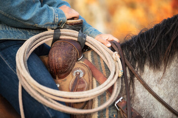 Western Saddle with Lasso