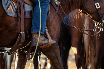 Details of a Western riders leg in the stirrup of a working ranch horse