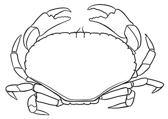 crab outline illustration