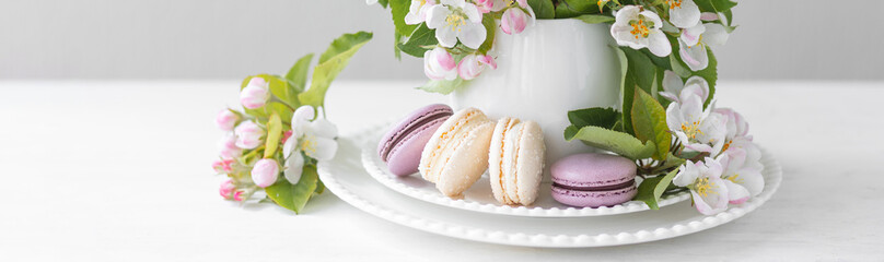 Fototapeta na wymiar Beautiful composition with delicious French macarons and spring flowers in a white cup. Sweet dessert, early spring white and pink flowers, wedding decor, bride morning. Banner