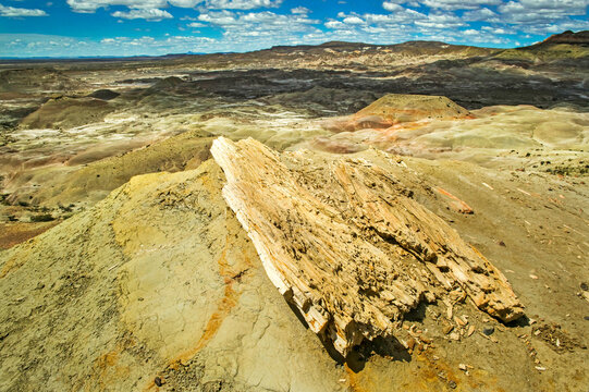 Pieces of petrified trees at Jose Ormachea Petrified Forest, a petrified forest near the city of Comodoro Rivadavia, Argentina; Patagonia, Argentina
