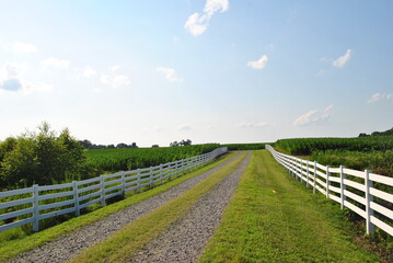 landscape with fence