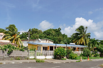 Residential neighborhood and bungalow houses with plants and palm trees along sidewalk of Guadeloupe