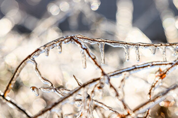 ice