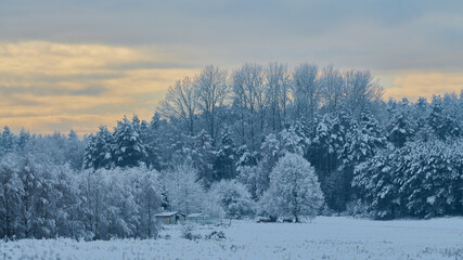 Zimowe zamglone krajobrazy. Drzewa pokryte białym szronem, szadzią spowite delikatną mgłą. Różowe refleksy zachodzącego słońca.