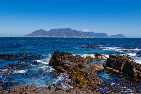 Table Mountain viewed from Robben Island, Cape Town, South Africa; Cape Town, Western Cape, South Africa