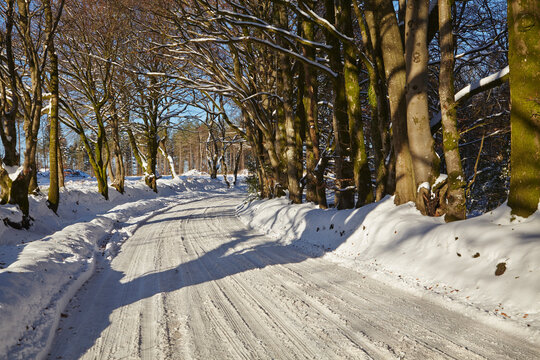 A road through the Haldon Hills in snow, near Mamhead and Exeter, Devon, Great Britain; Devon, England